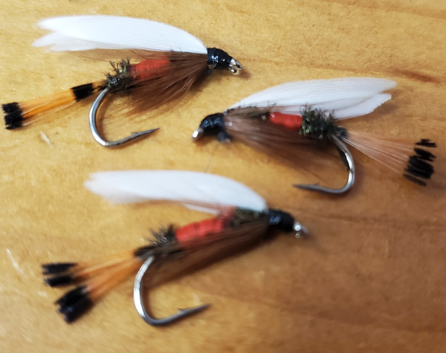Royal Coachman Wet Fly #12