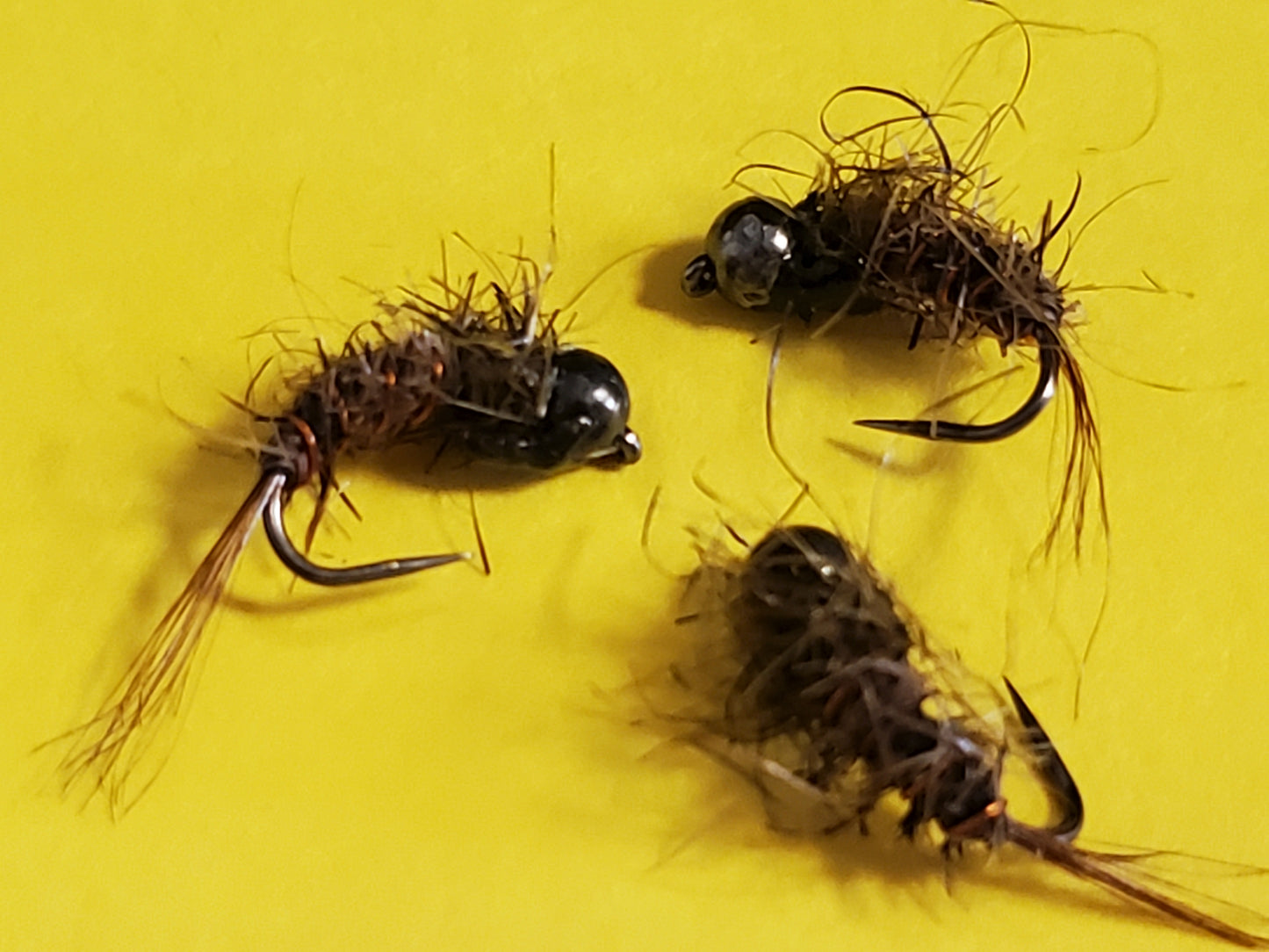 Capt. Ken's Every Bug Tungsten Nymph, Tungsten Bead Head Nymph