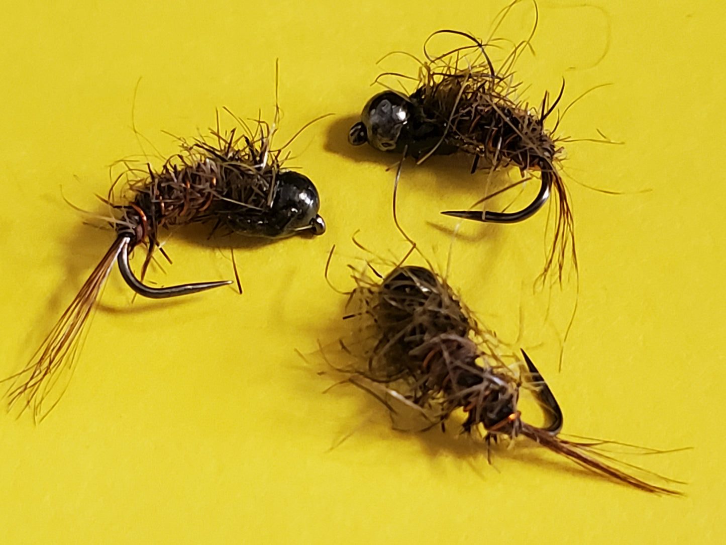 Capt. Ken's Every Bug Tungsten Nymph, Tungsten Bead Head Nymph