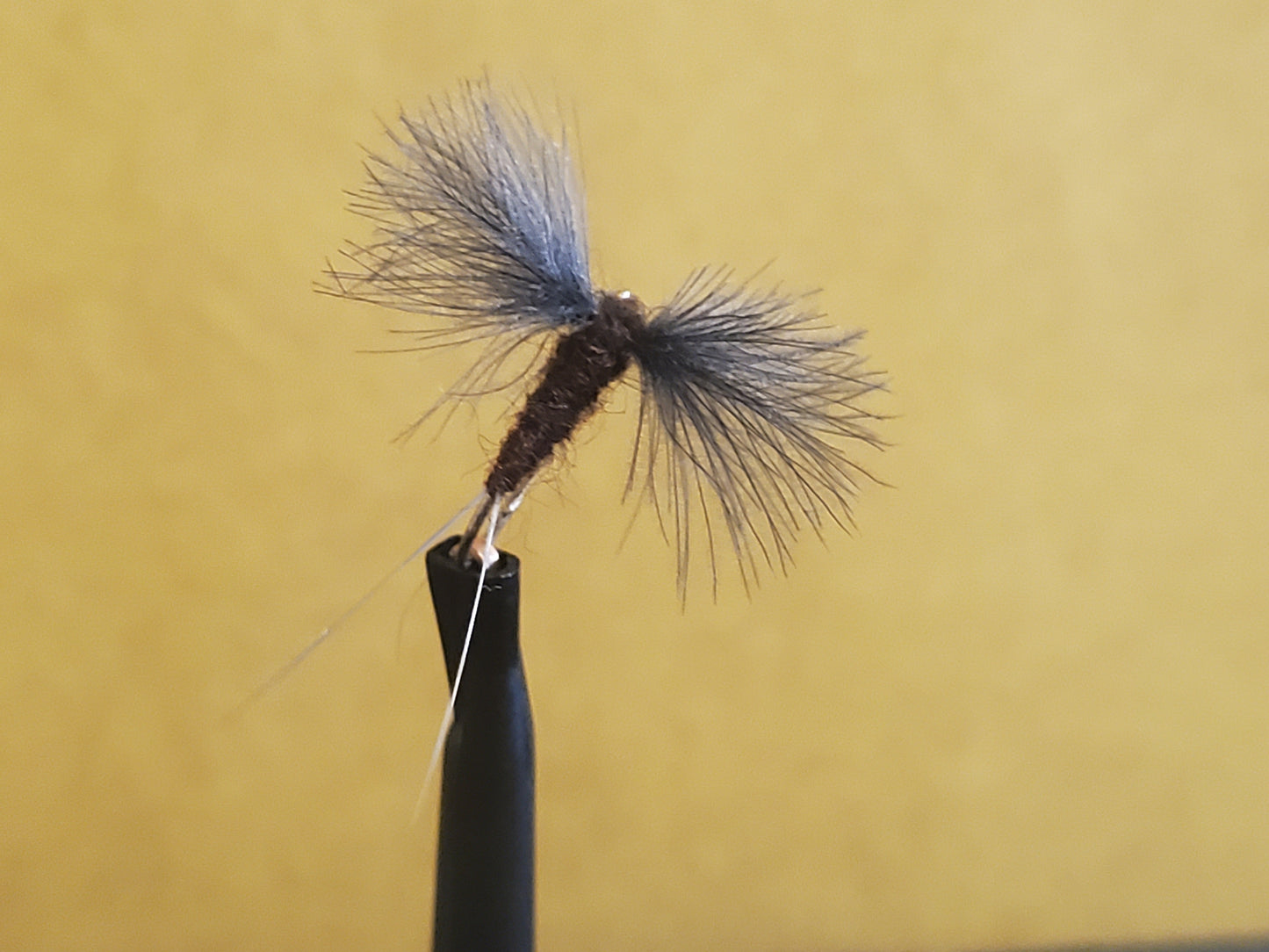 Isonychia CDC Knock Down Dun Dry Fly, Slate Drake CDC Knock Down Dun