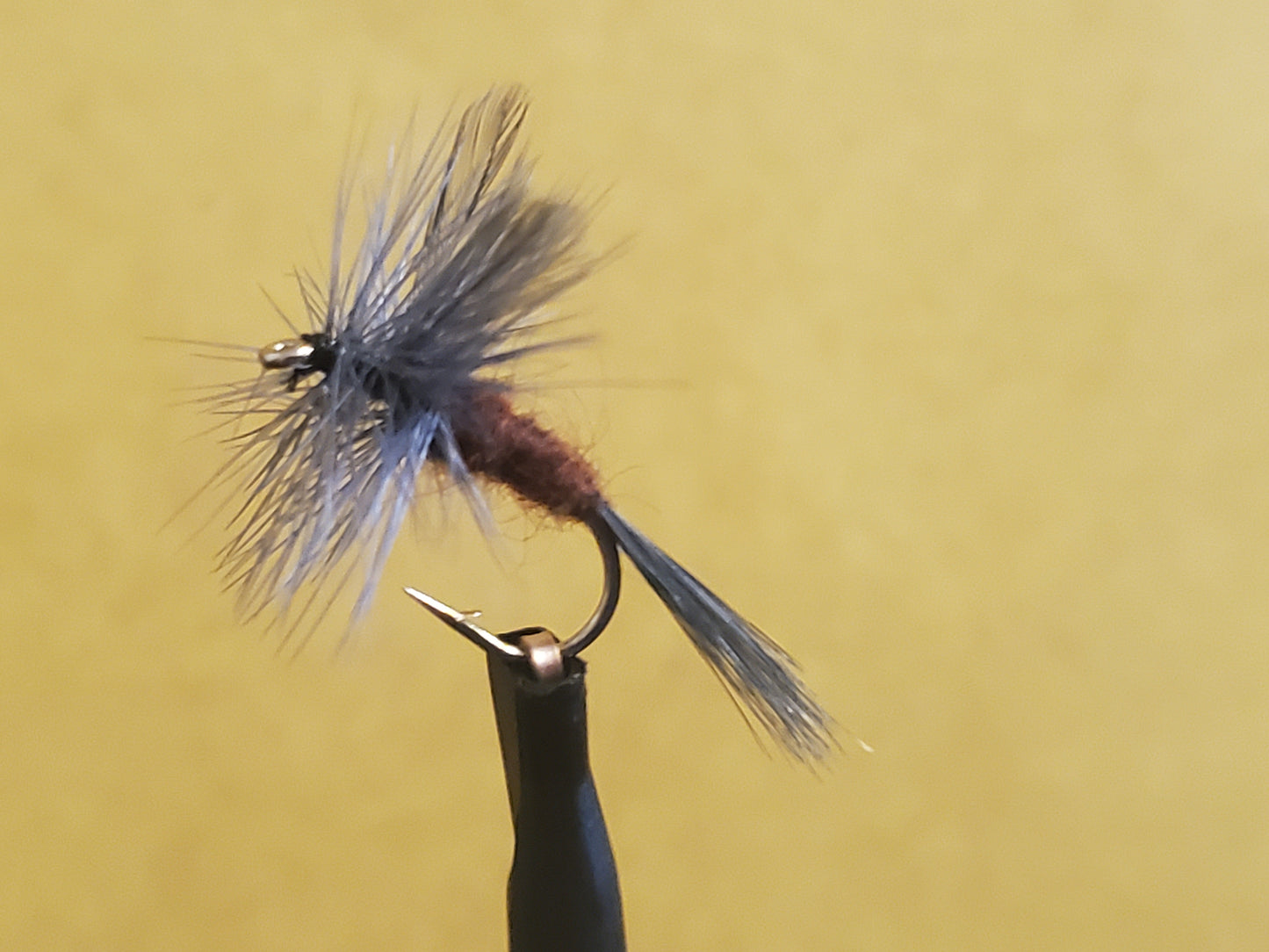 Isonychia Dry Fly, Slate Drake Dry Fly, Catskill Isonychia Dry Fly
