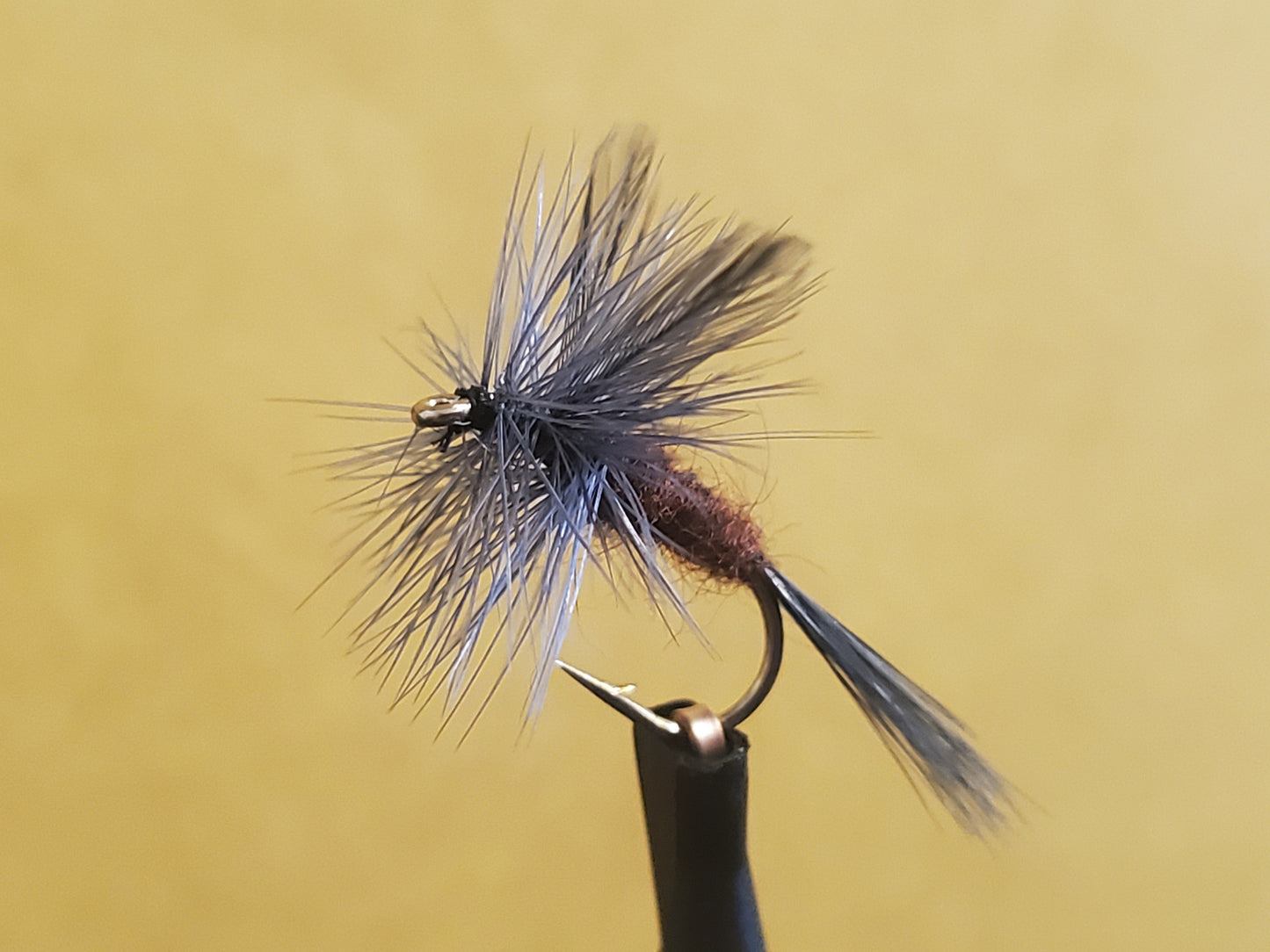 Isonychia Dry Fly, Slate Drake Dry Fly, Catskill Isonychia Dry Fly