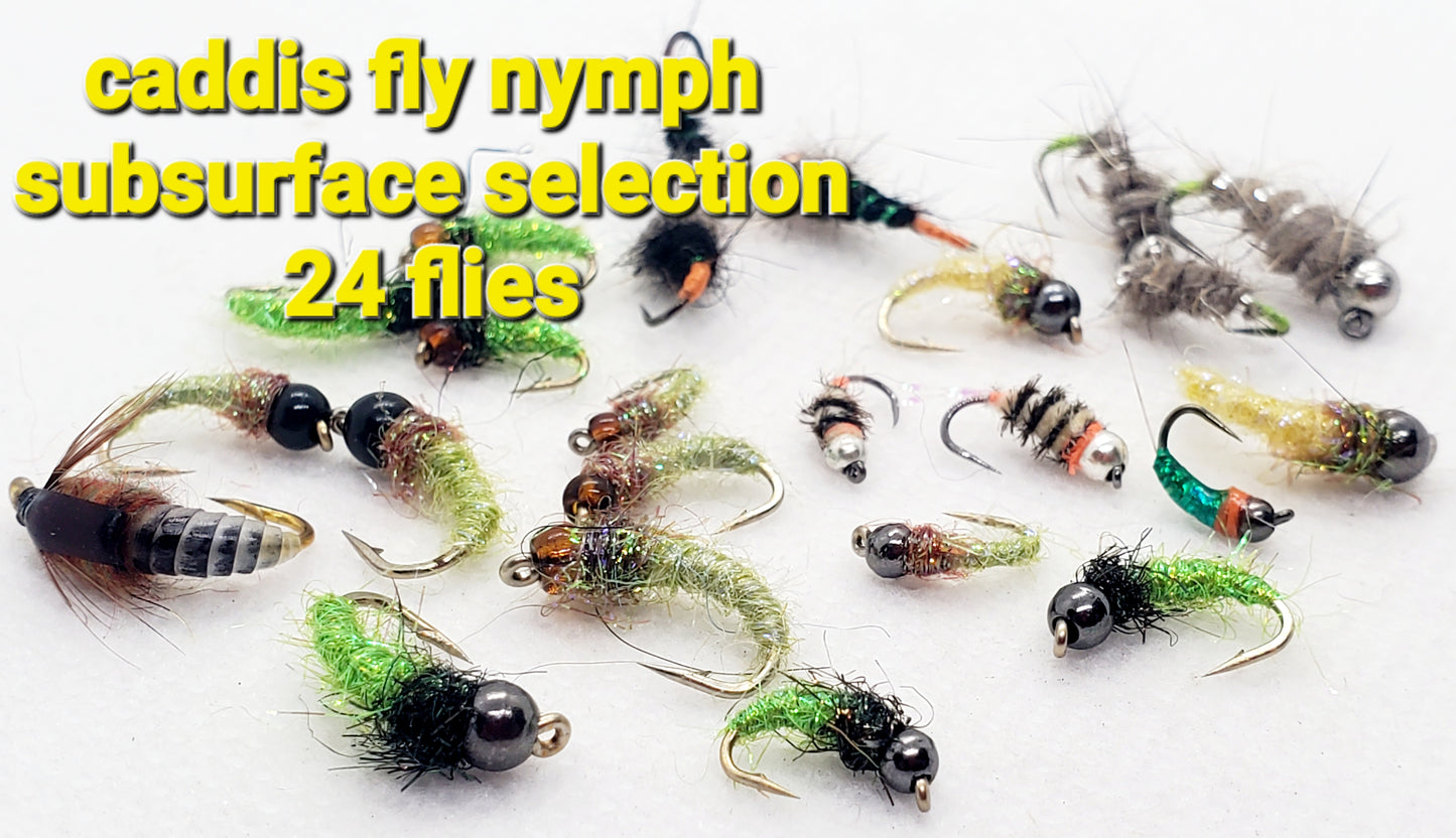 Caddis Nymph / Caddis Larva SELECTION, Bead Head Caddis Nymph, Caddis Fly