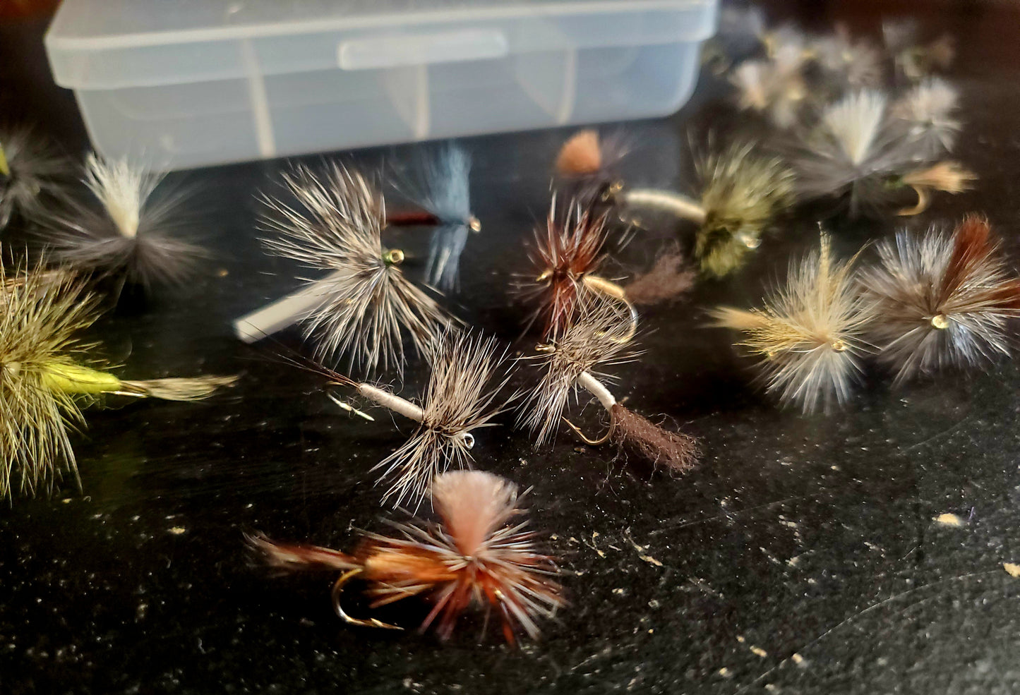 43 Trout Dry Fly Selection, Capt. Ken's Upper Delaware Dry Fly Selection, Trout Fly Selection