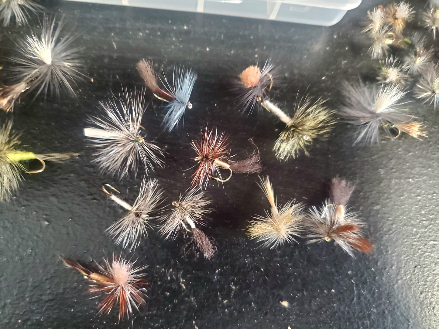 43 Trout Dry Fly Selection, Capt. Ken's Upper Delaware Dry Fly Selection, Trout Fly Selection