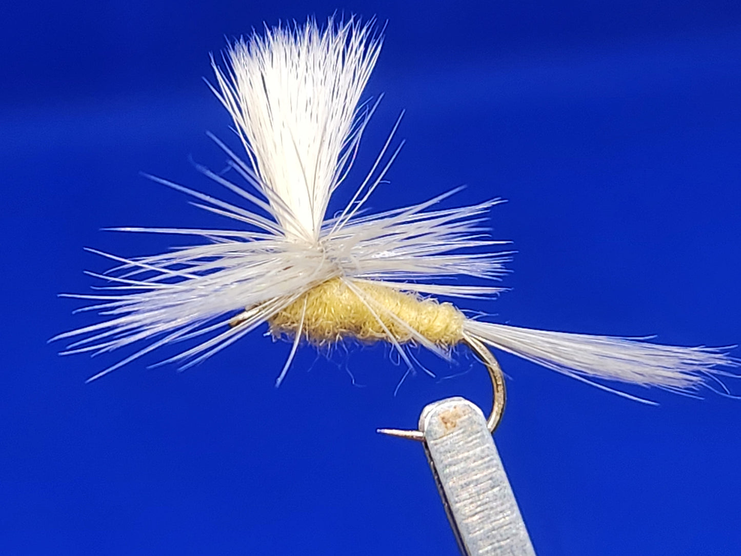 Sulfur Parachute Dry Fly