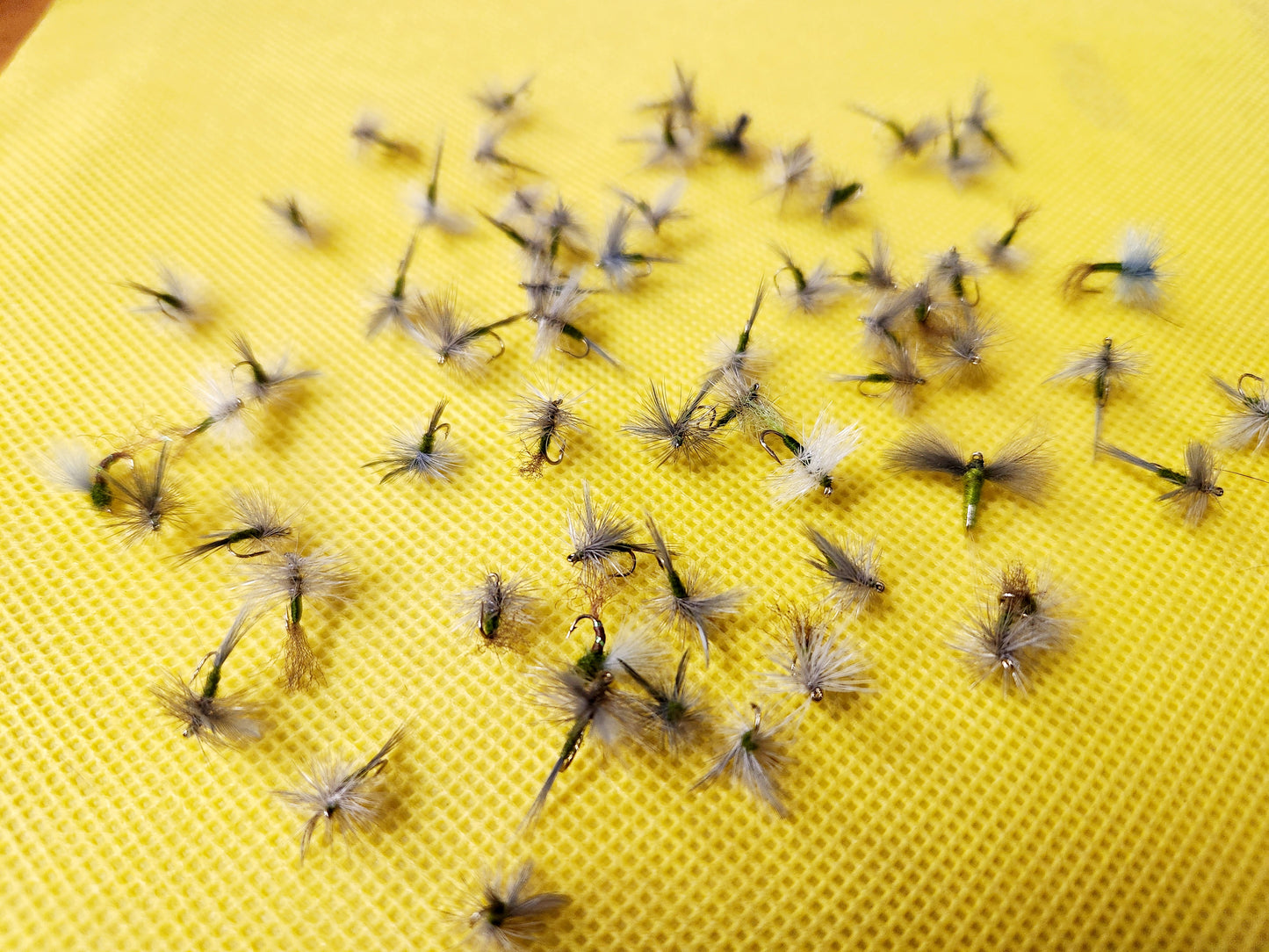 12 Blue WIng Olive Dry Fly Selection, 12 BWO Dry Flies