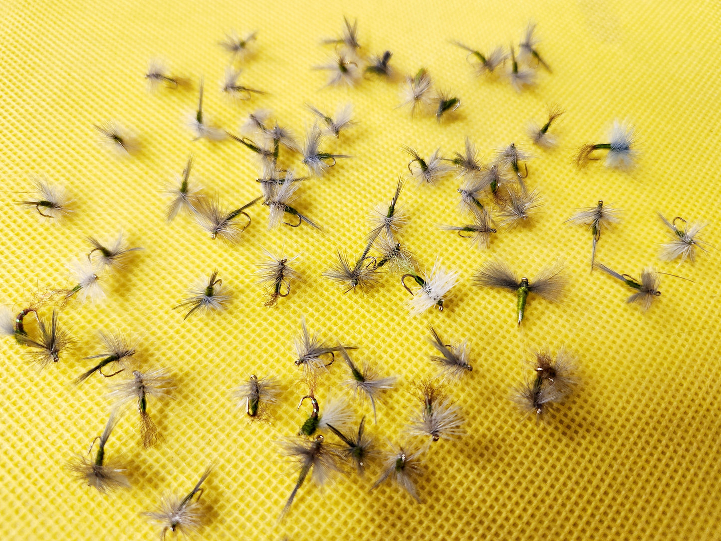 12 Blue WIng Olive Dry Fly Selection, 12 BWO Dry Flies