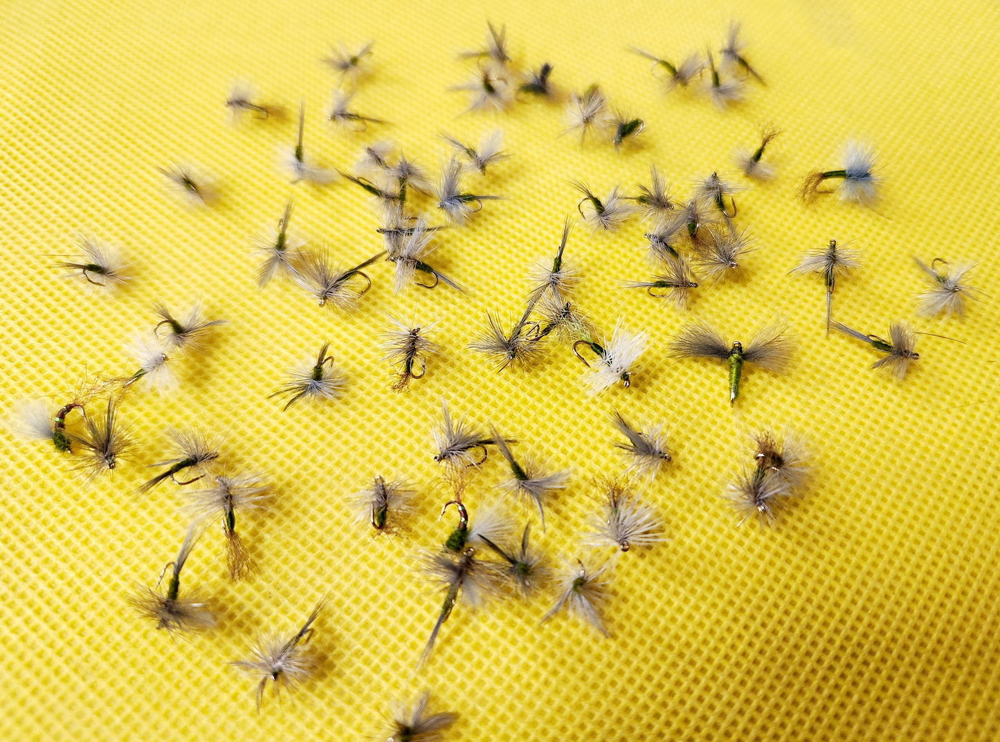 12 Blue WIng Olive Dry Fly Selection, 12 BWO Dry Flies