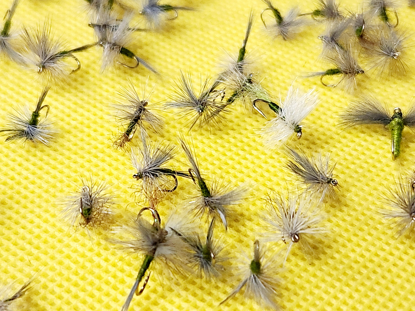 12 Blue WIng Olive Dry Fly Selection, 12 BWO Dry Flies