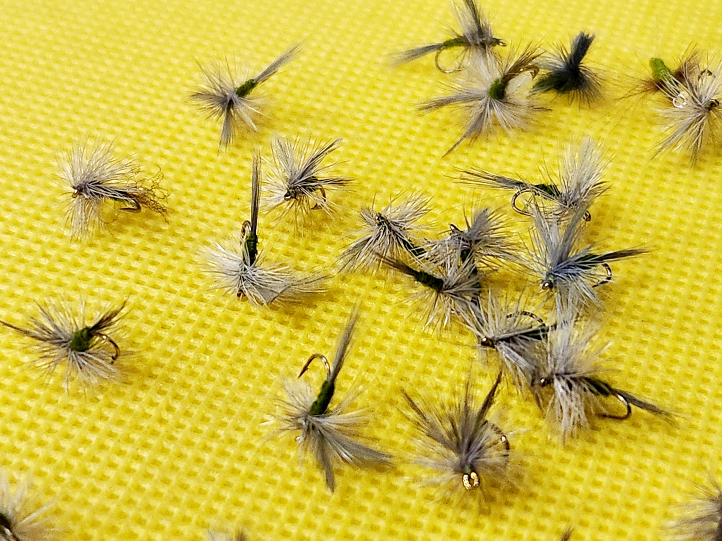 12 Blue WIng Olive Dry Fly Selection, 12 BWO Dry Flies