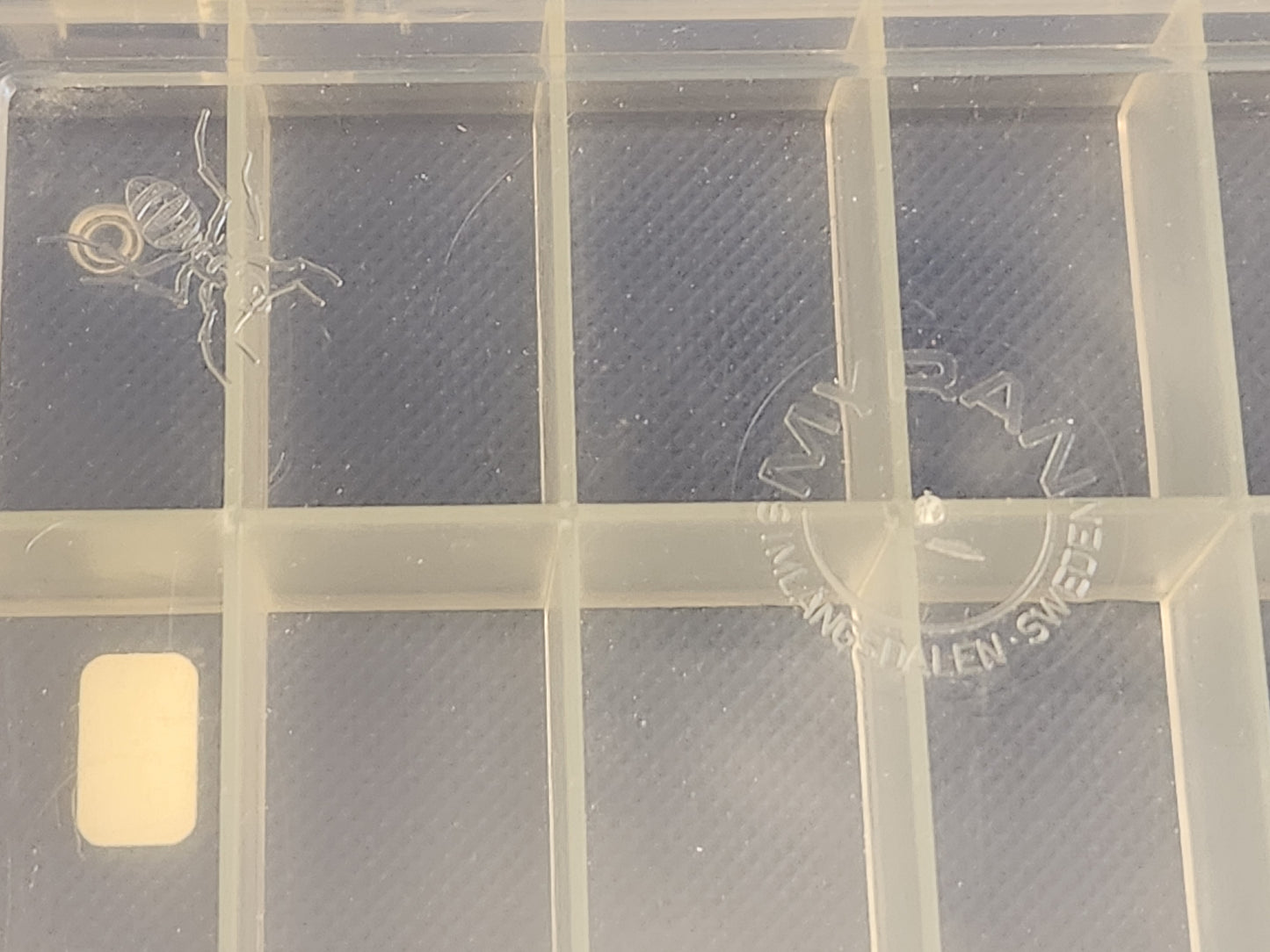 Myran Large 12 Compartment FLY Box - Older new stock