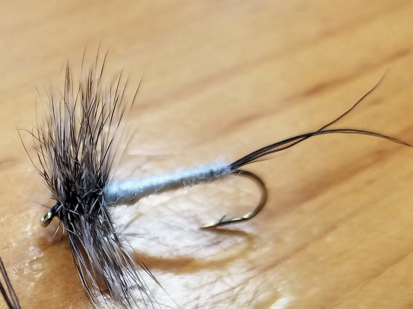 Coffin Fly Spinner, Coffin Fly, Coffinfly, Coffin Fly Dry Fly, Baxter House Coffin Fly Spinner