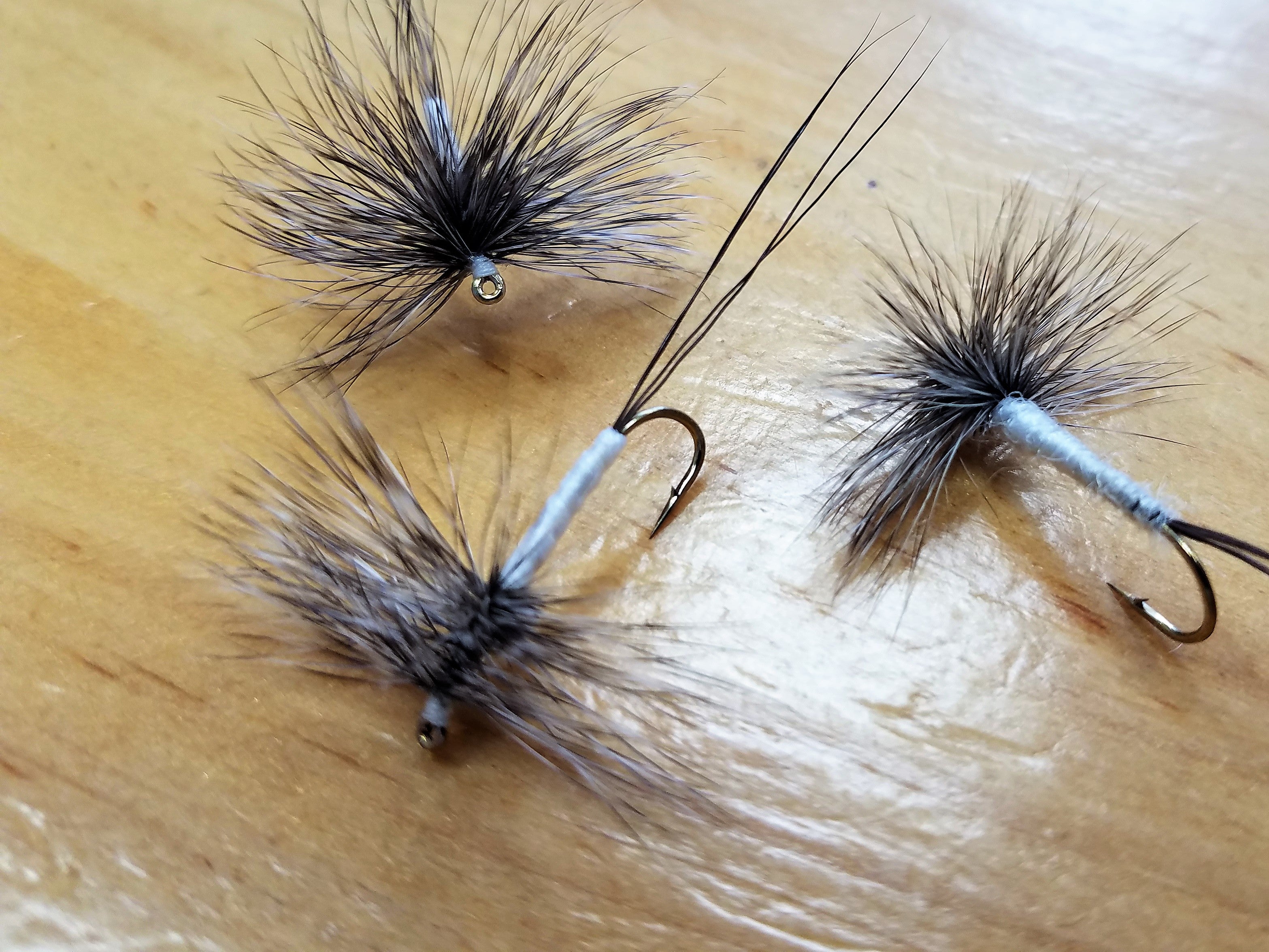Coffin Fly Spinner, Coffin Fly, Coffinfly, Coffin Fly Dry Fly, Baxter