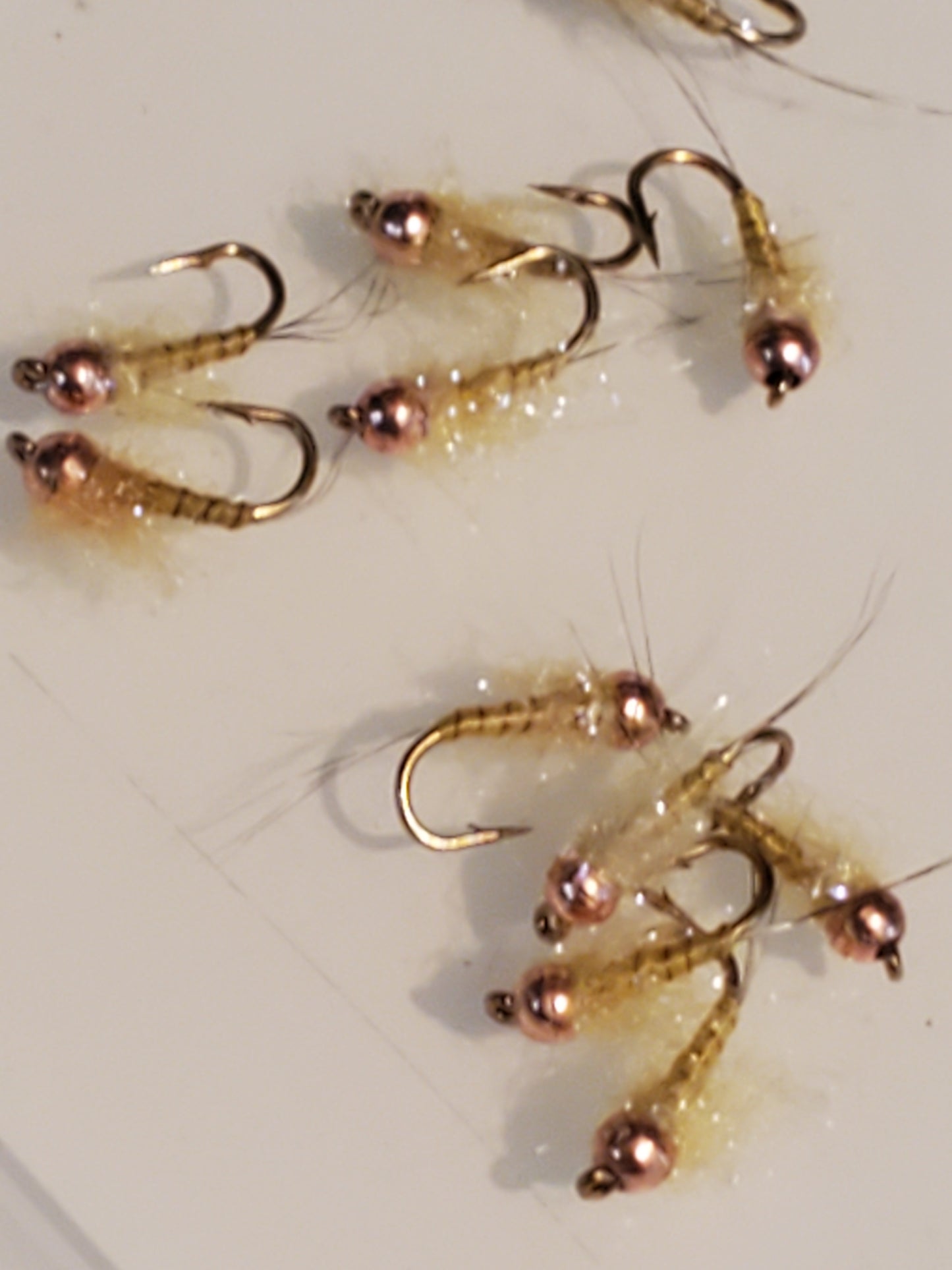 39 Tungsten Bead Trout Jigs, Jig Fly Selection, Trout Jigs, Tungsten Nymph