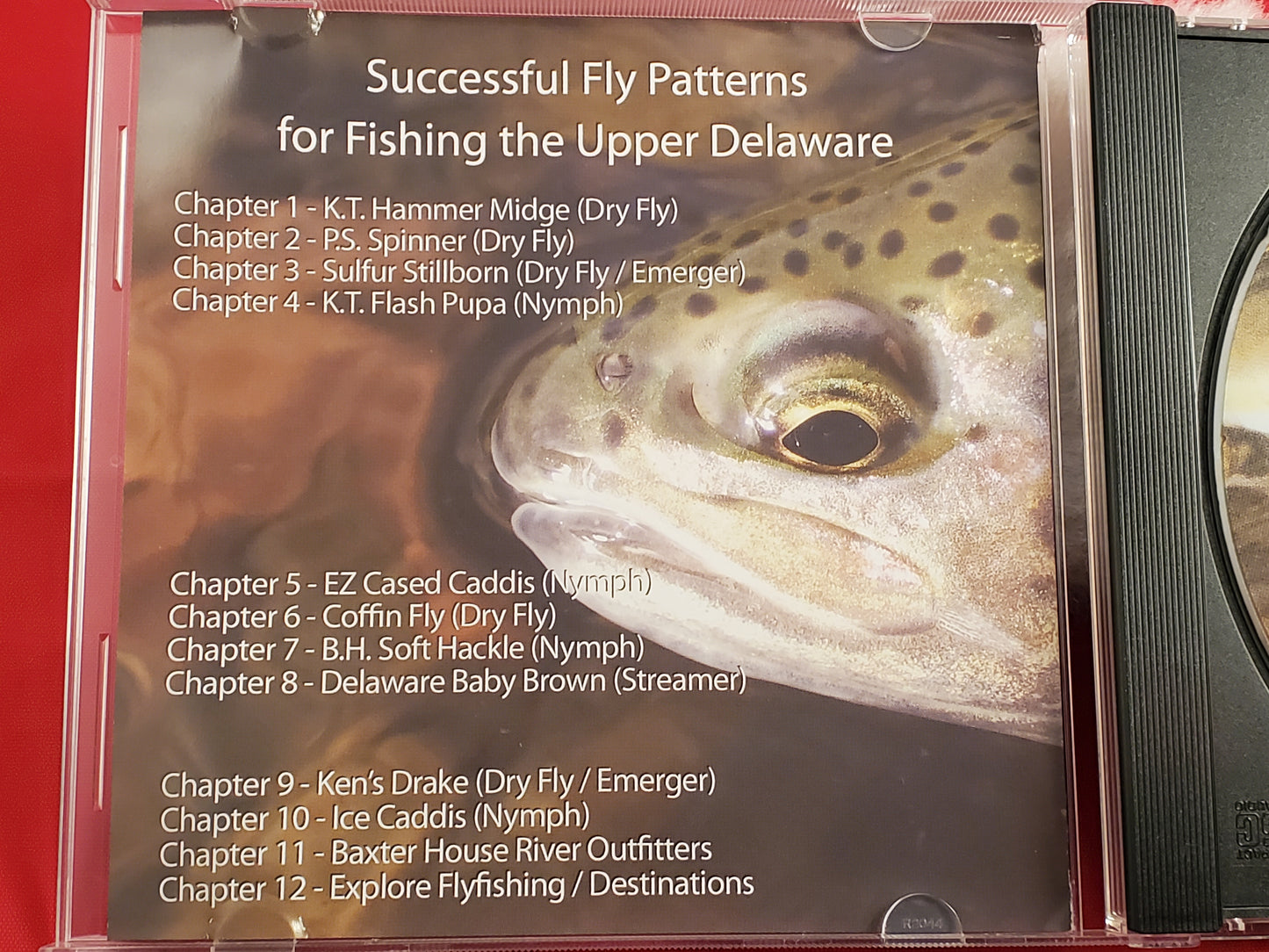 40 Ice Caddis, Ice Caddis Pupa, Caddis Pupa, Caddis Nymph 40 FLY SELECTION