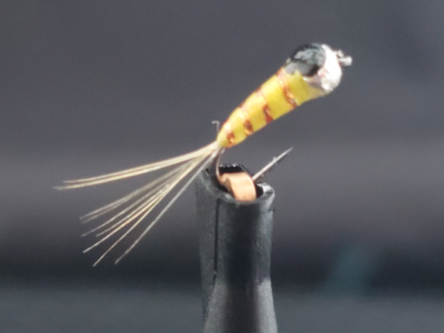 Tungsten Perdigon Nymph Sulfur