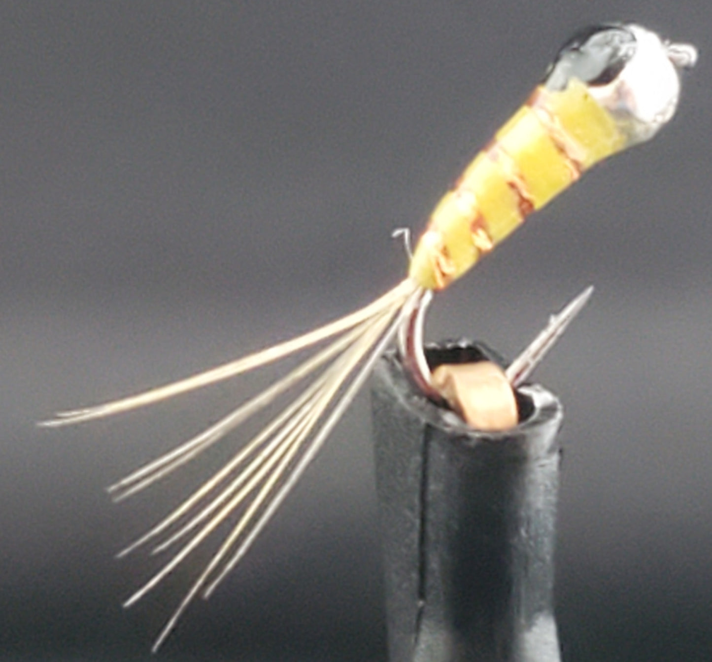 Tungsten Bead Perdigon Nymph, Perdigon Nymph Sulfur