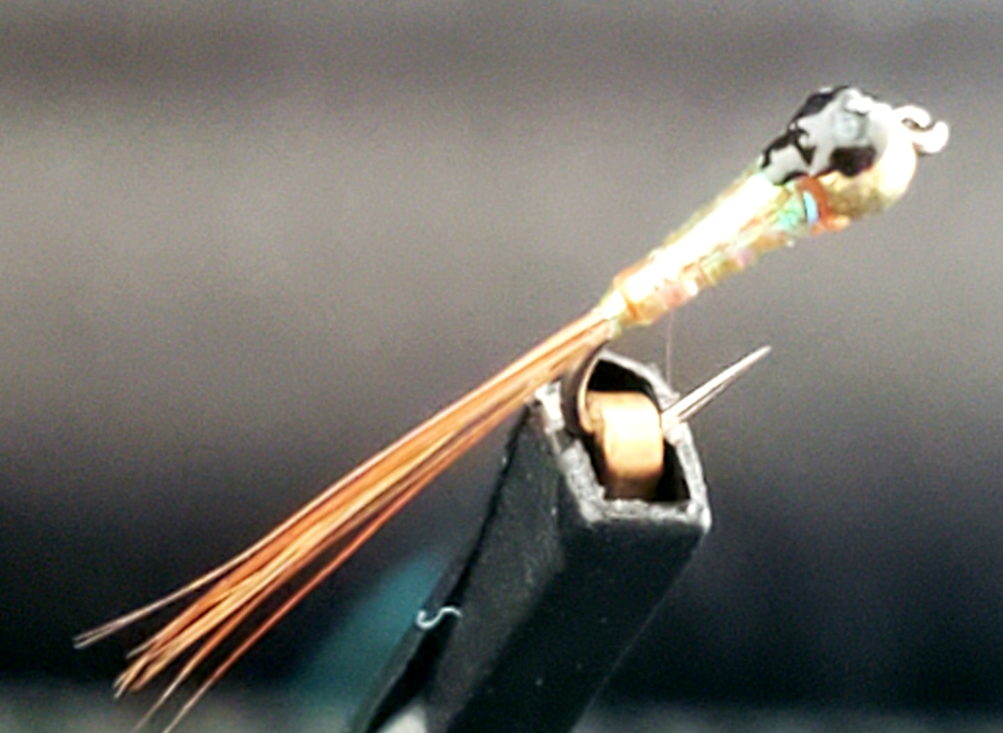 Tungsten Bead Perdigon Nymph, Tungsten Perdigon Nymph, Perdigon Nymph Green Flash