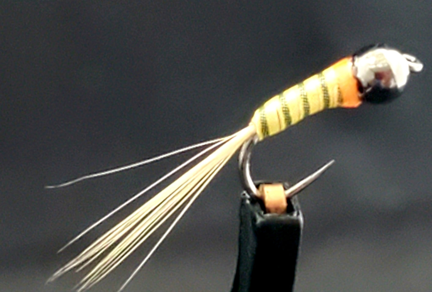 Tungsten Bead Perdigon Nymph, Tungsten Perdigon Nymph, Perdigon Nymph Light Quill