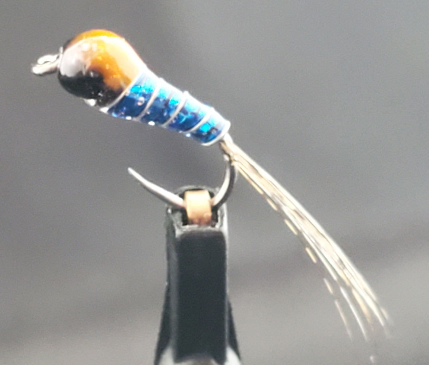 Tungsten Bead Perdigon Nymph, Tungsten Perdigon Nymph, Perdigon Nymph Blue Hot Spot