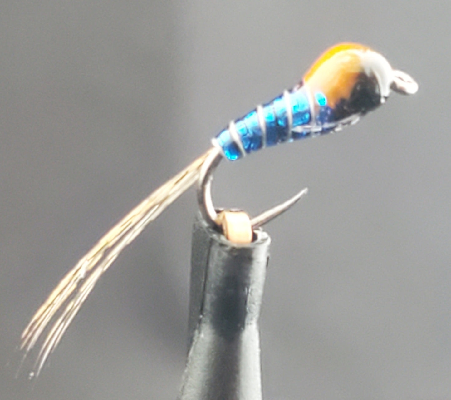 Tungsten Bead Perdigon Nymph, Tungsten Perdigon Nymph, Perdigon Nymph Blue Hot Spot