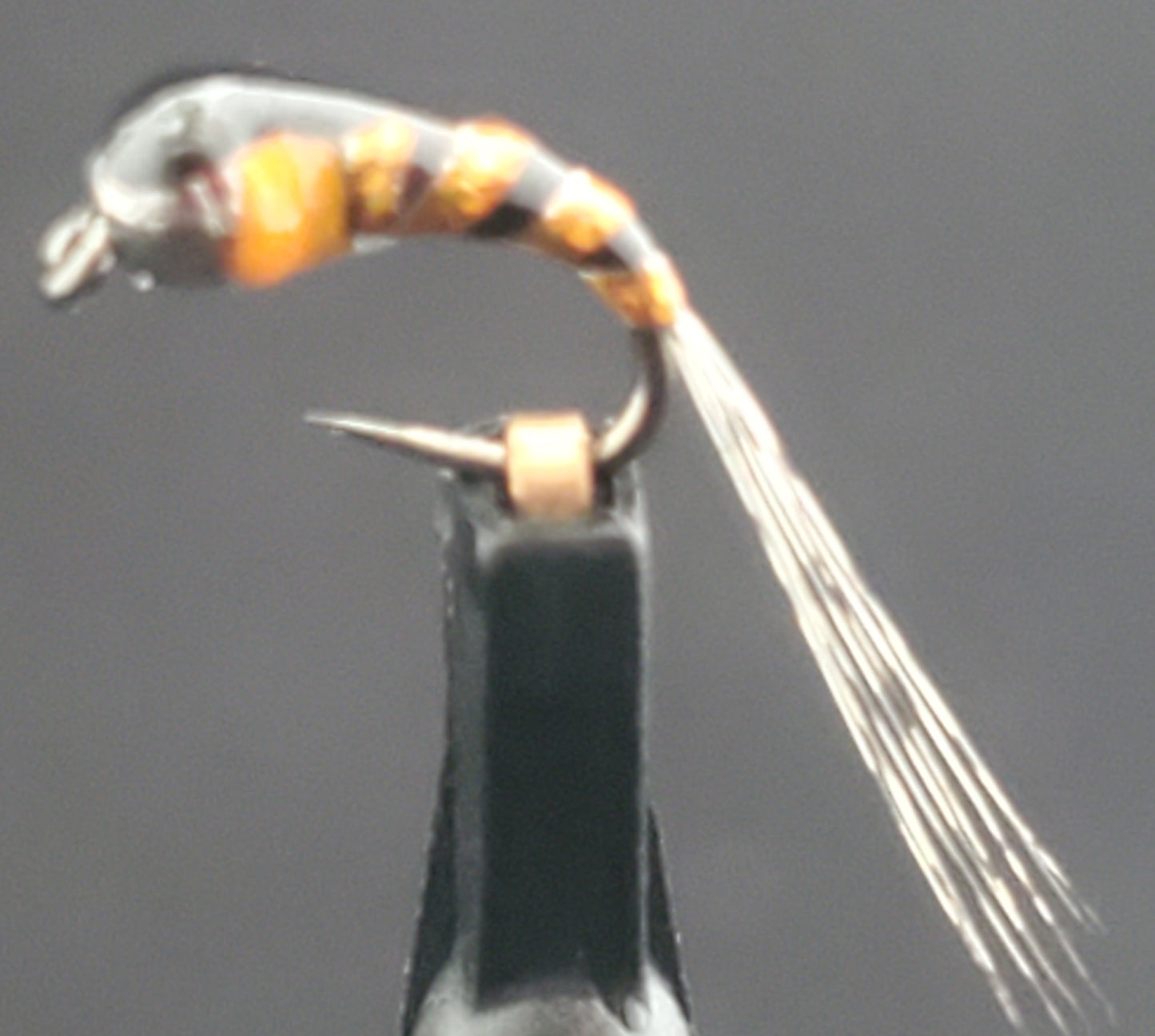Tungsten Bead Perdigon Nymph, Tungsten Perdigon Nymph, Perdigon Nymph Pheasant tail