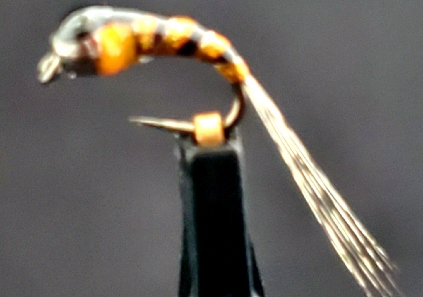Tungsten Bead Perdigon Nymph, Tungsten Perdigon Nymph, Perdigon Nymph Pheasant tail