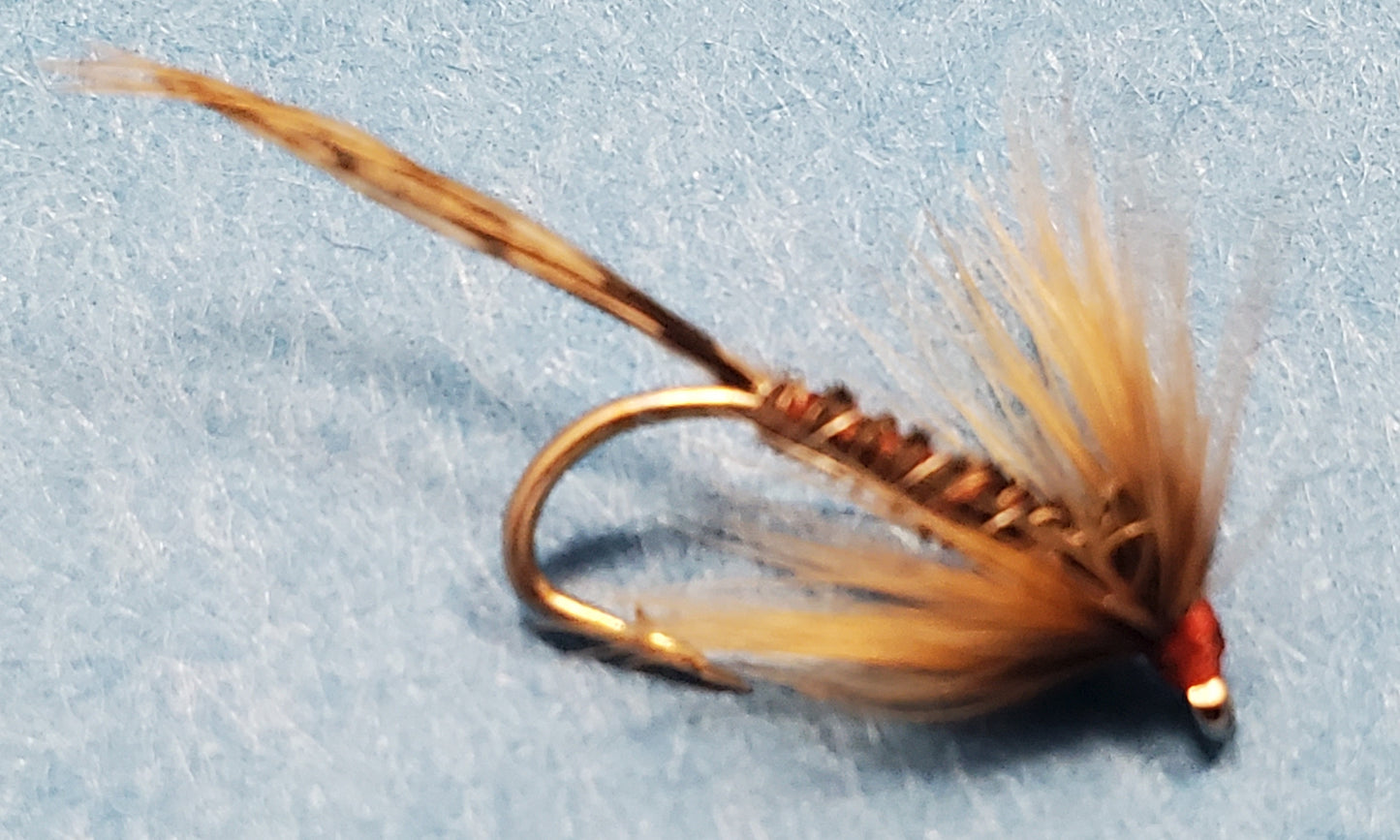 Pheasant Tail Soft Hackle Fly, Soft Hackle Wet Fly