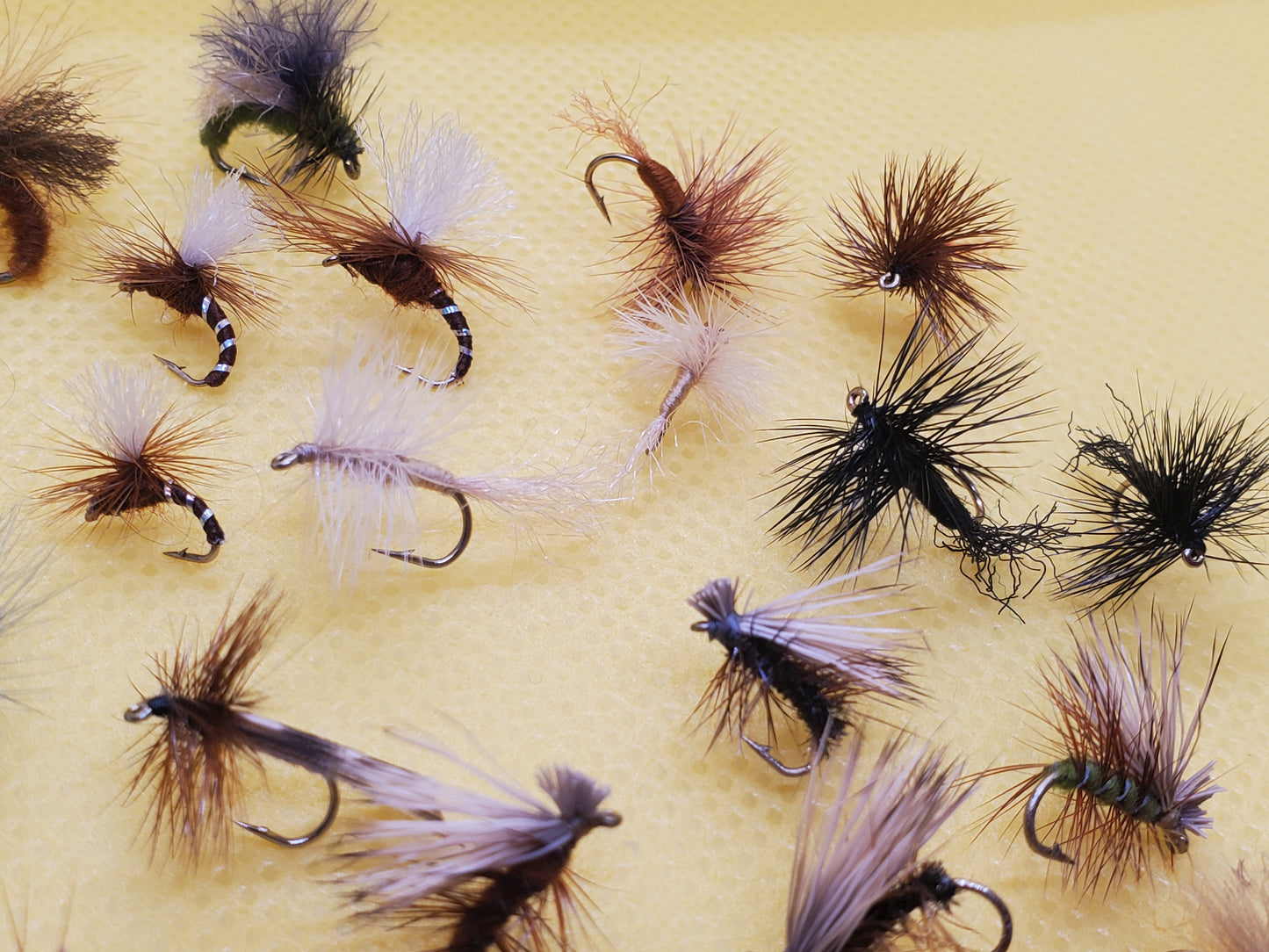 Caddis Dry Fly Selection, Caddis Dry Fly, Elk Hair Caddis, 25 Caddis Fly Selection