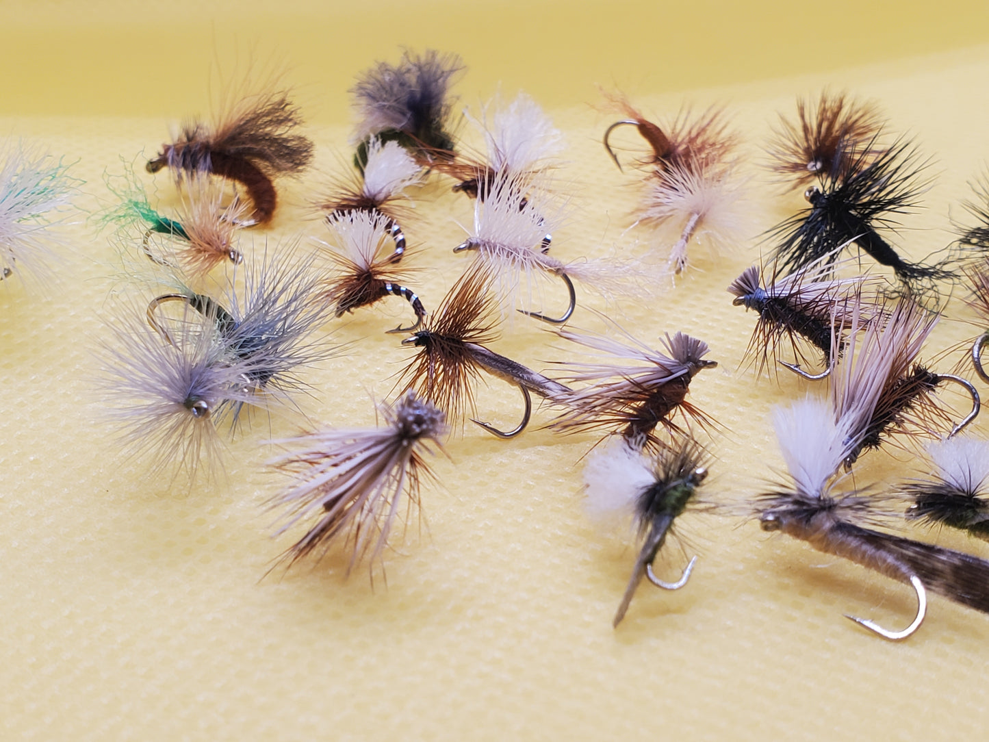 Caddis Dry Fly Selection, Caddis Dry Fly, Elk Hair Caddis, 25 Caddis Fly Selection