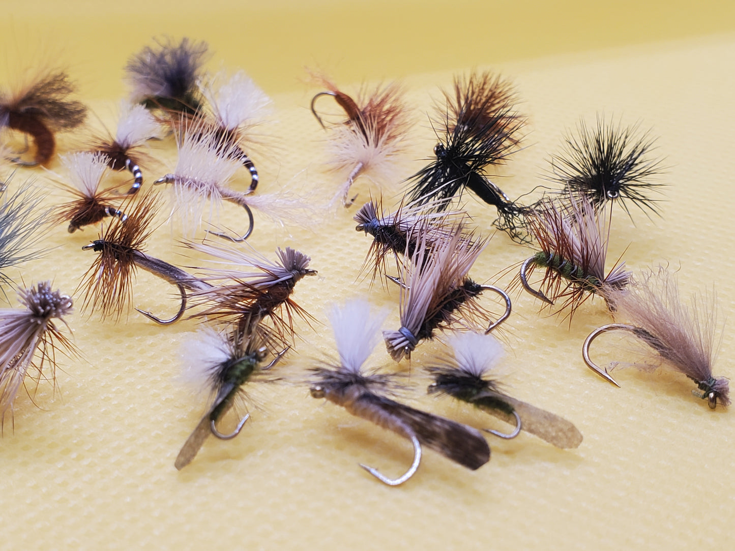 Caddis Dry Fly Selection, Caddis Dry Fly, Elk Hair Caddis, 25 Caddis Fly Selection