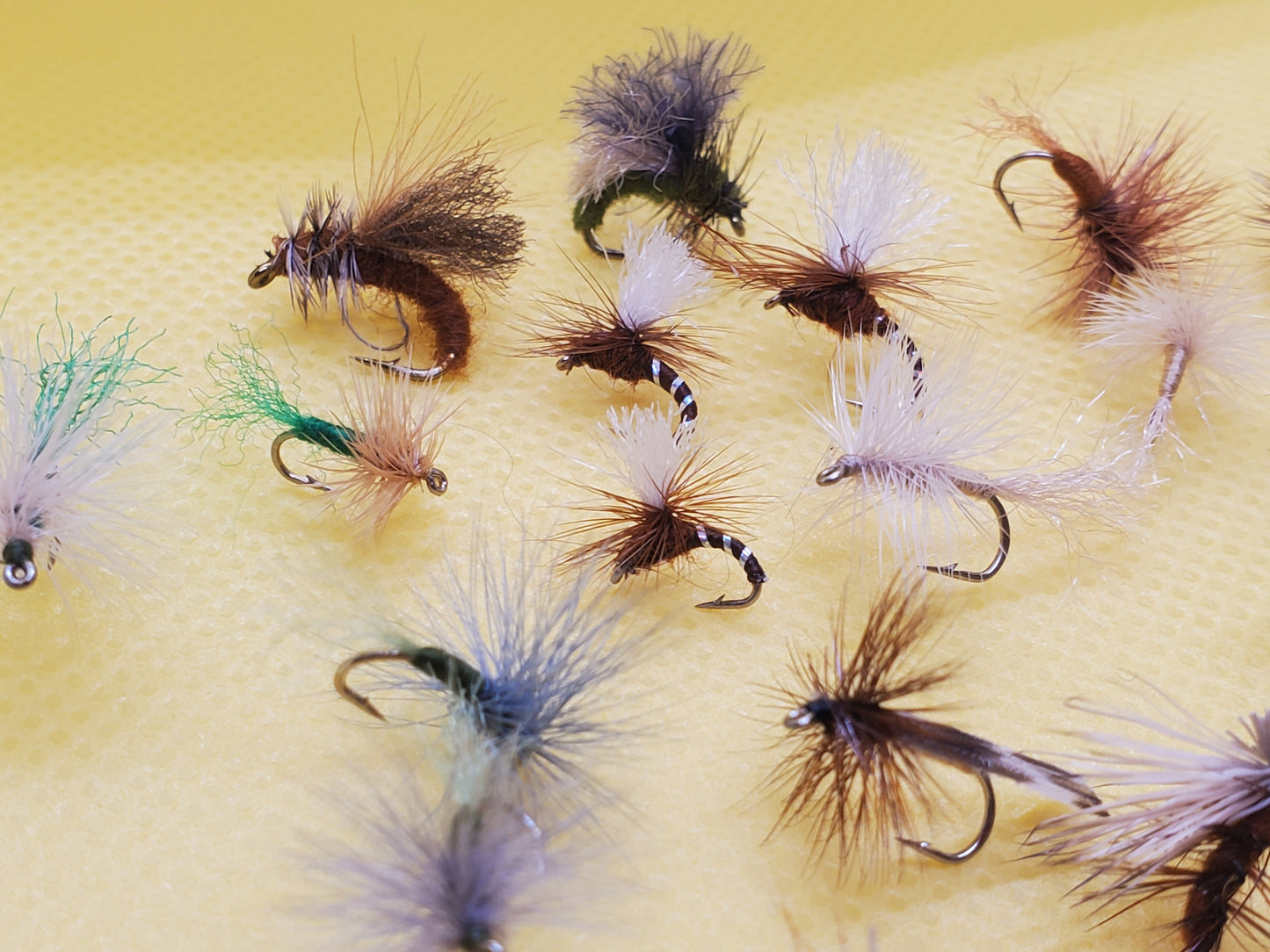 Caddis Dry Fly Selection, Caddis Dry Fly, Elk Hair Caddis, 25 Caddis Fly Selection