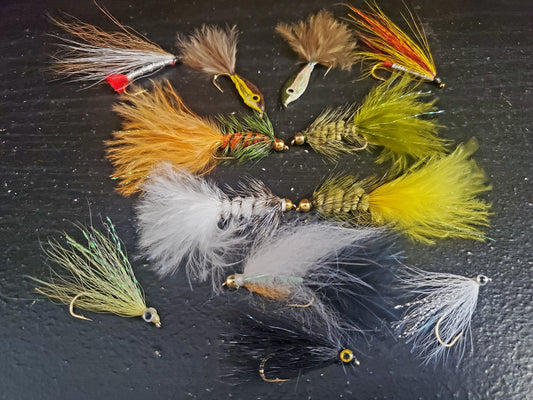 12 Trout Streamer Fly Selection, Streamer Fishing Fly, Trout Fly