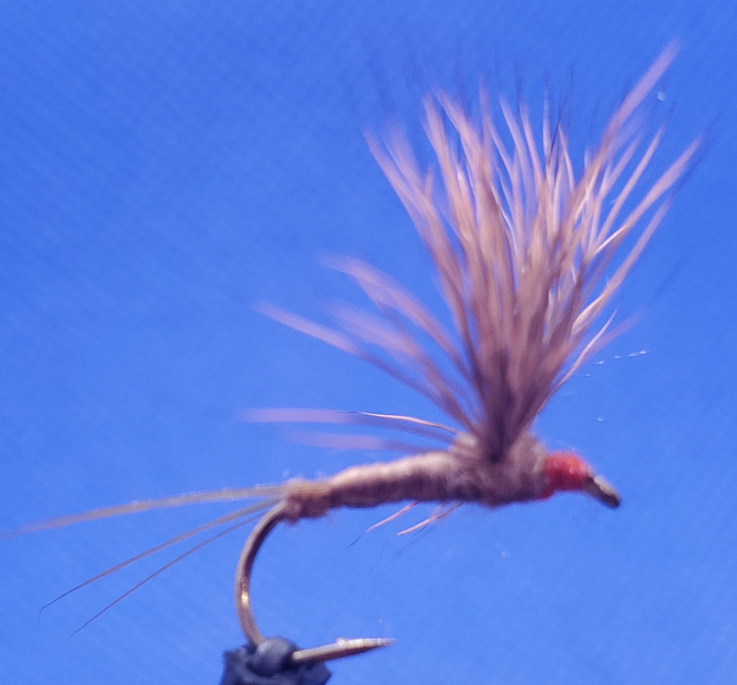 Hendrickson Comparadun Dry Fly, Comparadun, Hendrickson Compara Dun, Hendrickson Dry Fly