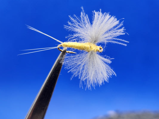 Sulfur CDC Knock Down Dun Dry Fly, Sulfur Knock Down Cripple Dry Fly