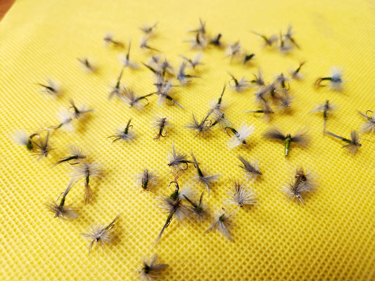 12 Blue WIng Olive Dry Fly Selection, 12 BWO Dry Flies
