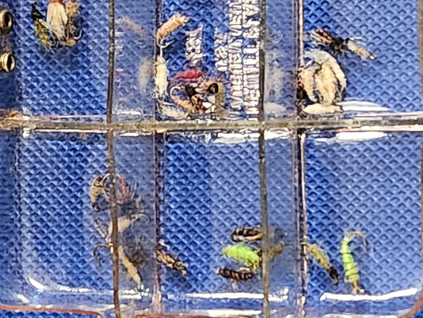 Dewitt Unbrekable Fly Box with Flies 63 flies