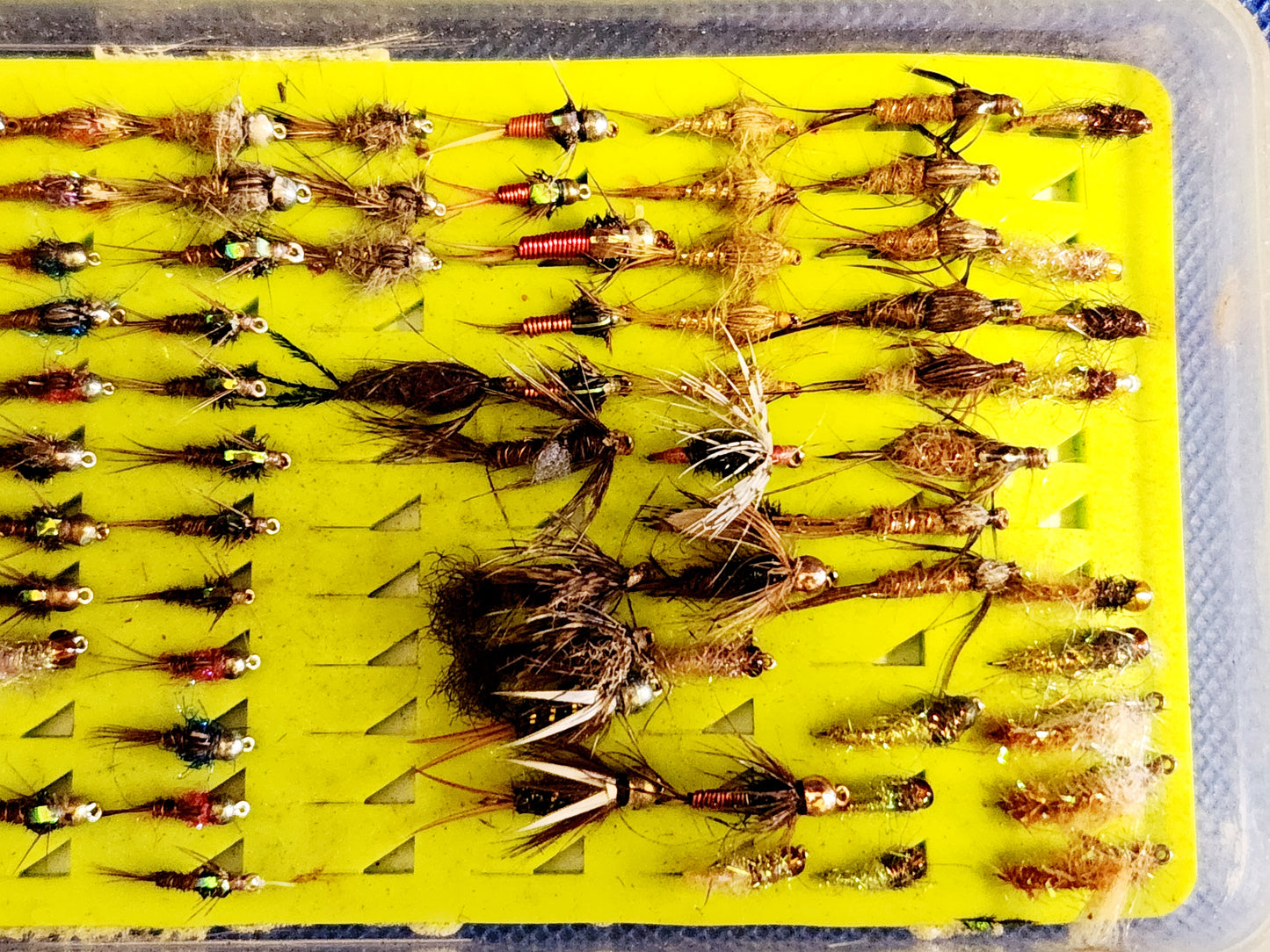84 Nymph Lot, Bead Head Nymph Lot 84 flies