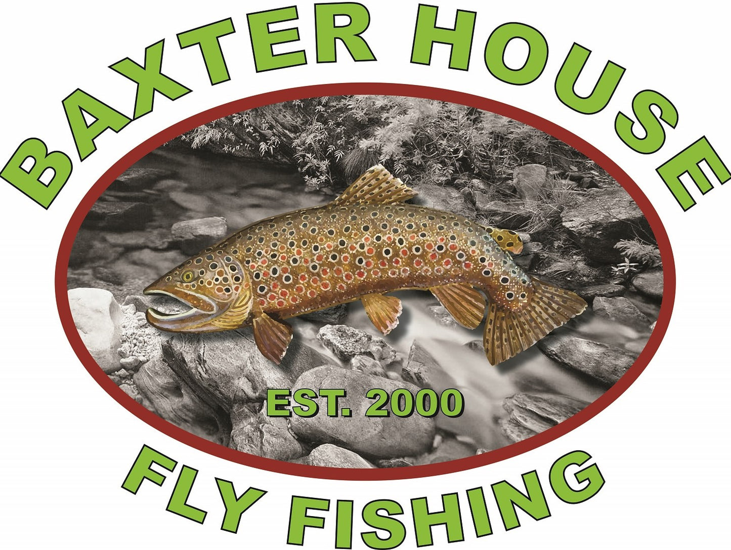 Tarpon Fly Selection, 6 Tarpon Flies, Tarpon Fly