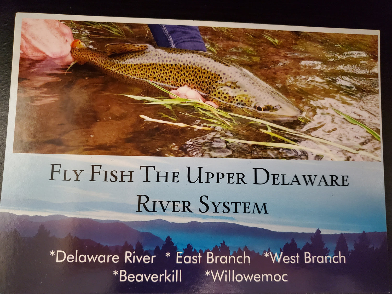 Guided Fly Fishing Trip Gift Certificate Upper Delaware River