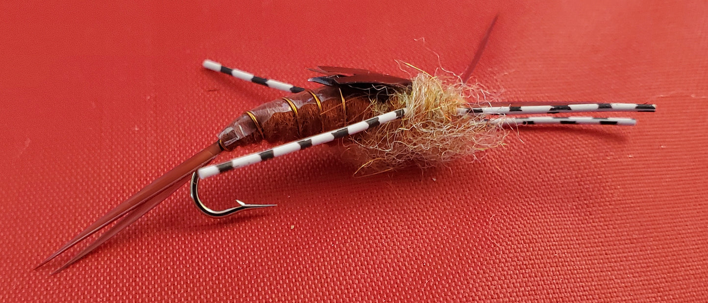 Bead Head Rubber Legs Stonefly Nymph- Brown, Stonefly Nymph #6