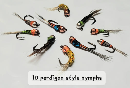 Tungsten Perdigon Nymph Selection,  10 Perdigon Nymphs