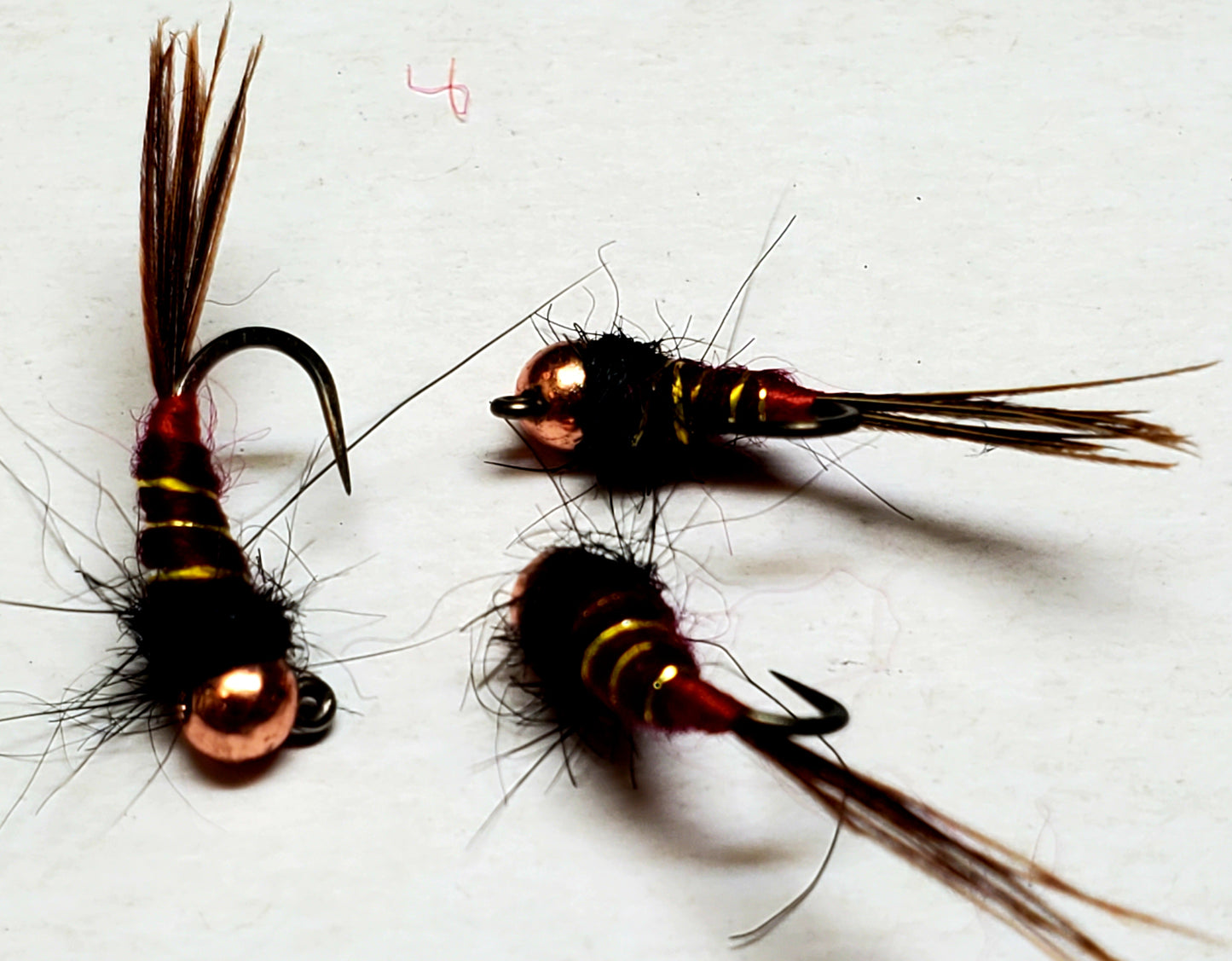 Trout Jig, Tungsten Bead Head Trout Jig, Trout Jig Nymph, Bead Head Nymph, Trout Jig Pheasant Tail with Red Tag