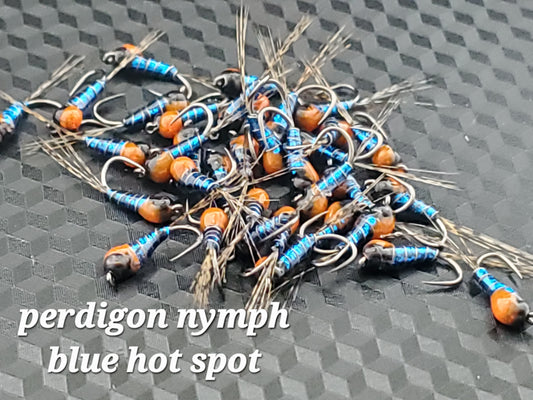 Tungsten Bead Perdigon Nymph, Tungsten Perdigon Nymph, Perdigon Nymph Blue Hot Spot