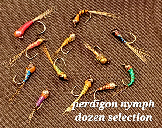 12 Tungsten Bead Perdigon Nymph SELECTION, Tungsten Perdigon Nymph, Perdigon Nymph