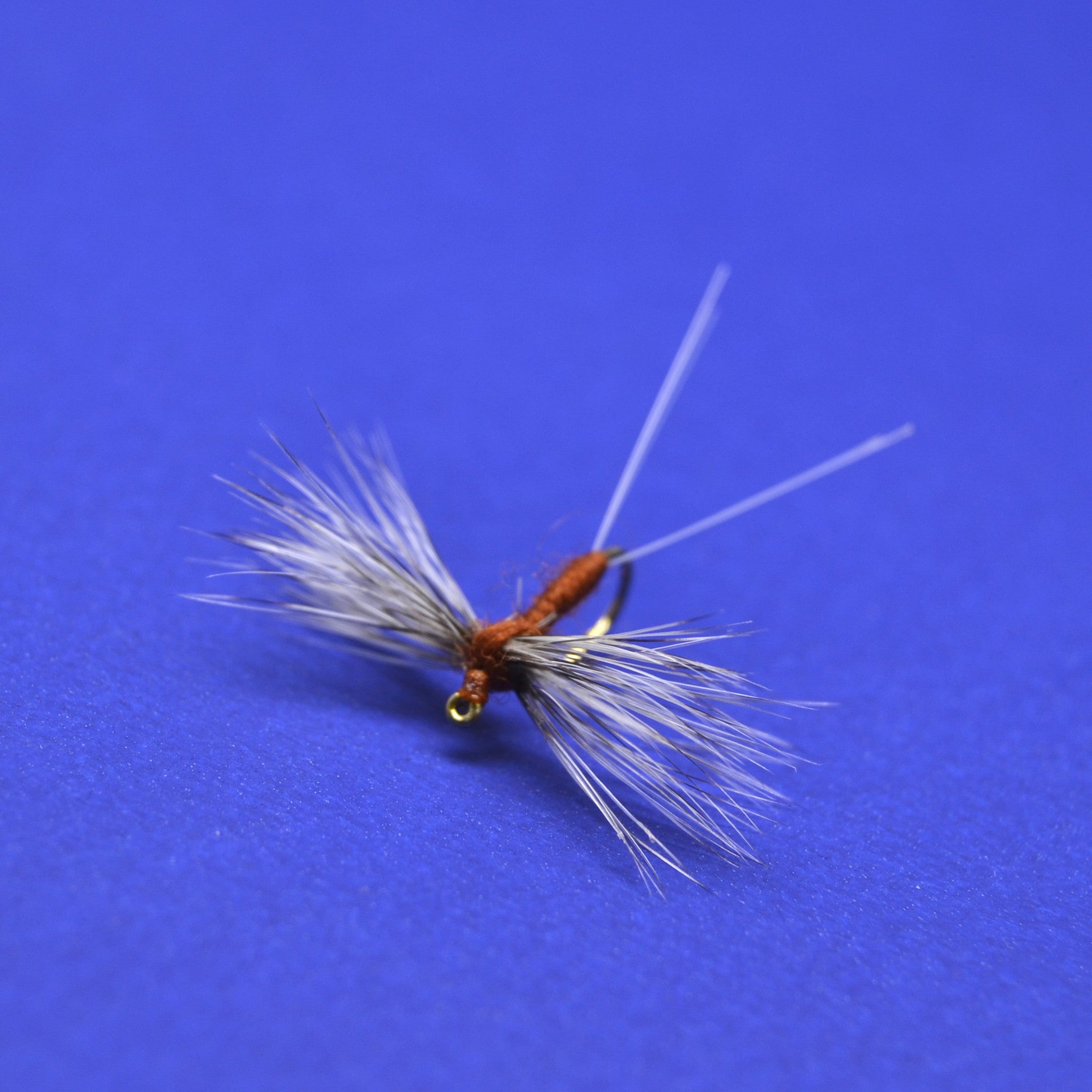 Rusty Spinner Dry Fly, Hackle Wing Rusty Spinner Dry Fly, Mayfly Spinn ...